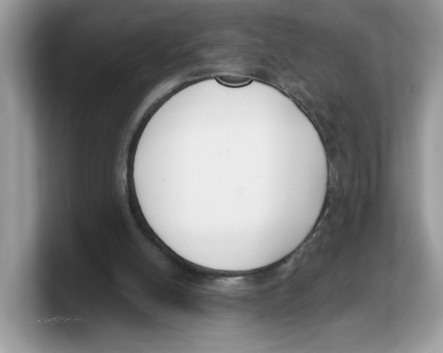 X0000103230054200809181532