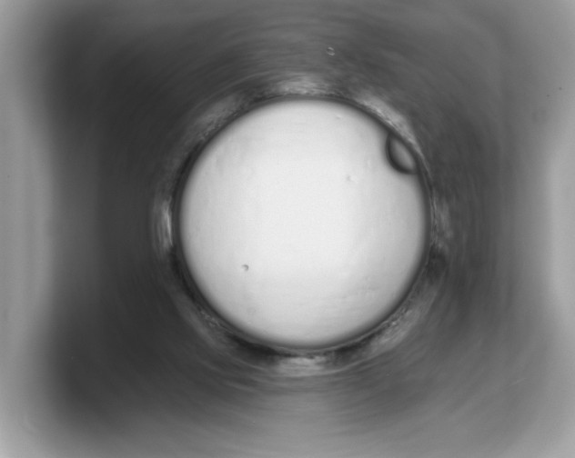 X0000103230061200809181532