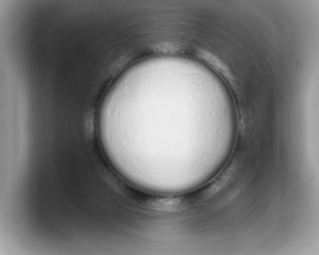 X0000103230065200809181532