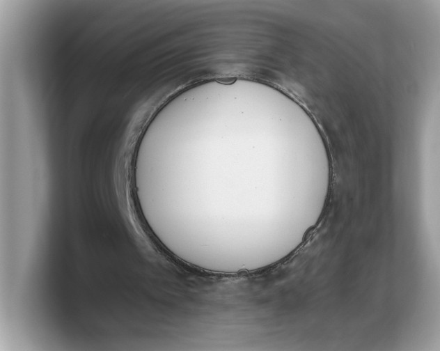 X0000103230097200809181532