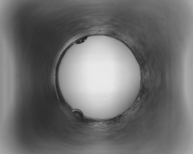 X0000103230100200809181532