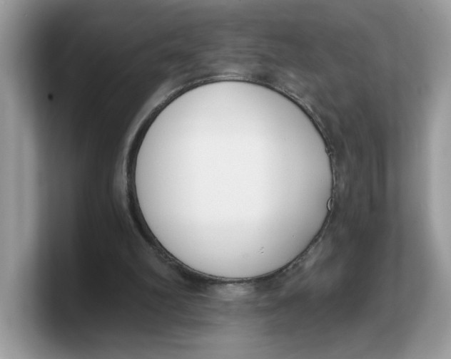 X0000103230102200809181532