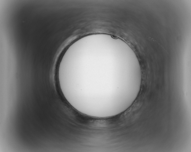 X0000103230104200809181532