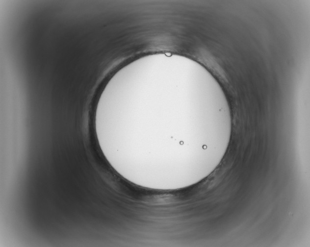 X0000103230108200809181532