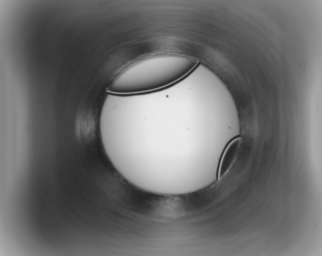 X0000103230124200809181531