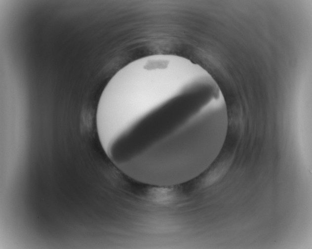 X0000103230139200809181531