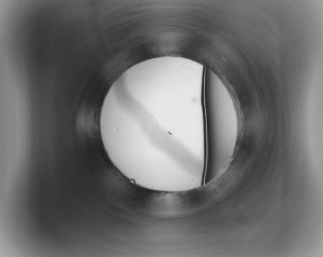 X0000103230140200809181531