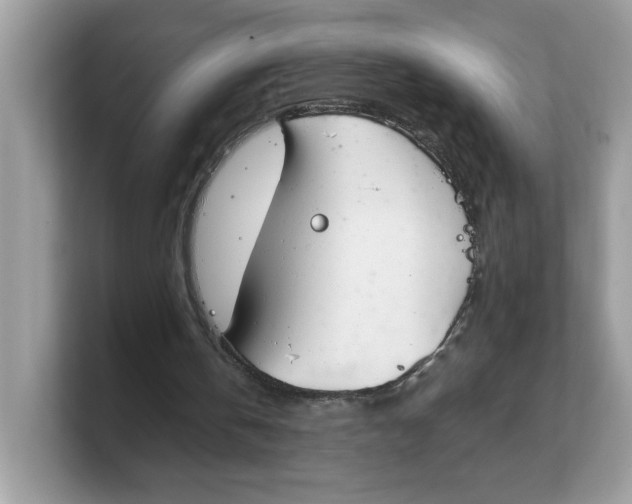 X0000103230146200809181531