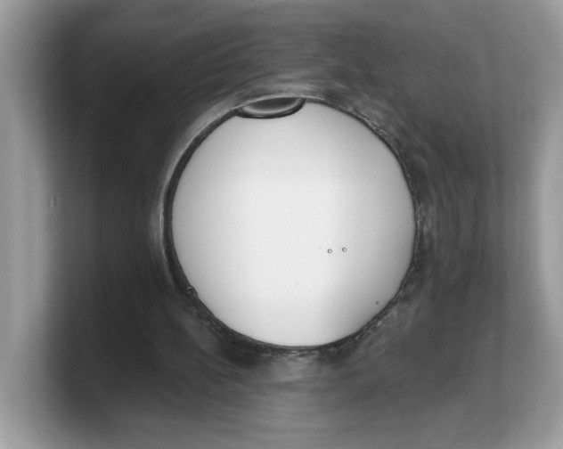 X0000103230148200809181531