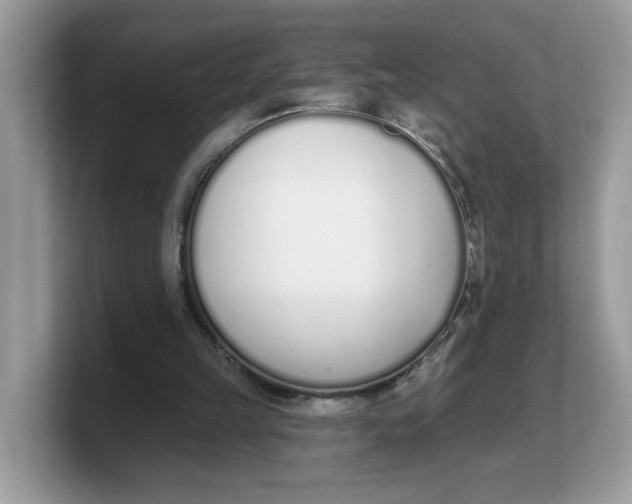 X0000103230149200809181531
