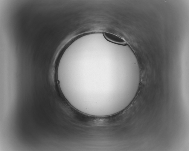 X0000103230152200809181531