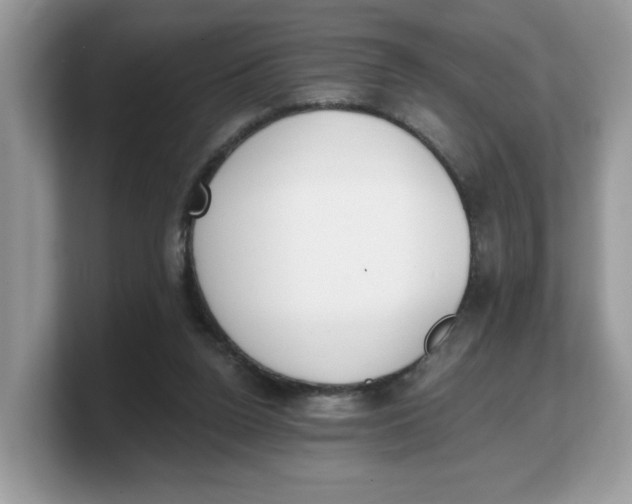 X0000103230160200809181531