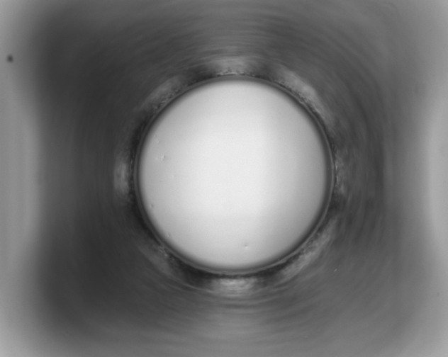 X0000103230161200809181531