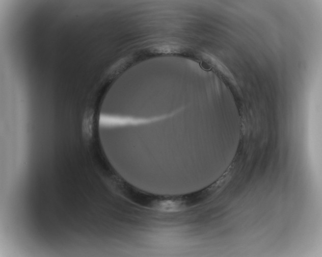 X0000103230163200809181531