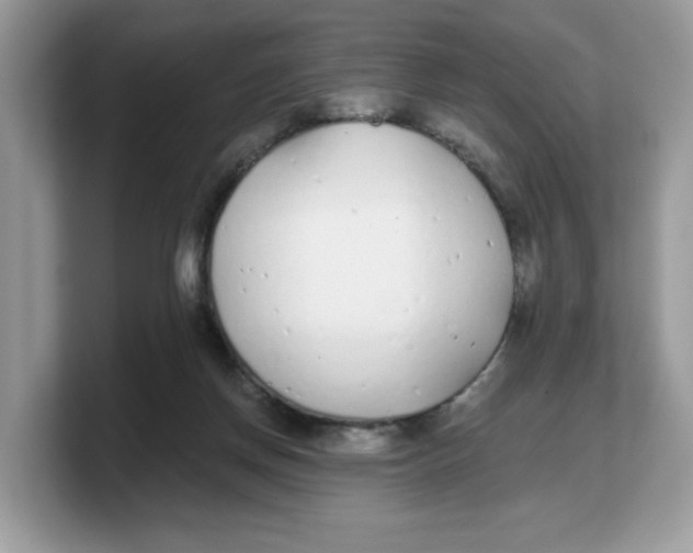 X0000103230166200809181531