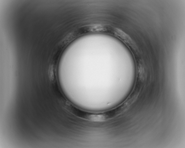 X0000103230169200809181531