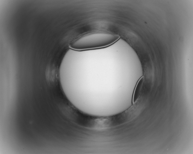 X0000103230172200809181531