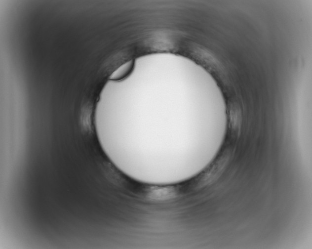 X0000103230185200809181531