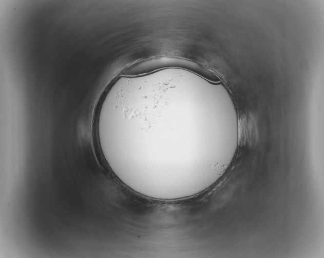 X0000103230195200809181531
