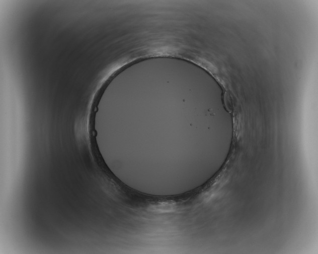 X0000103230196200809181531