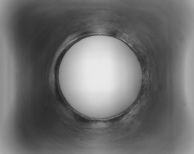 X0000103230198200809181531