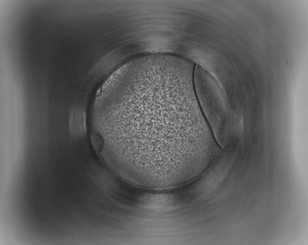 X0000103230205200809181530