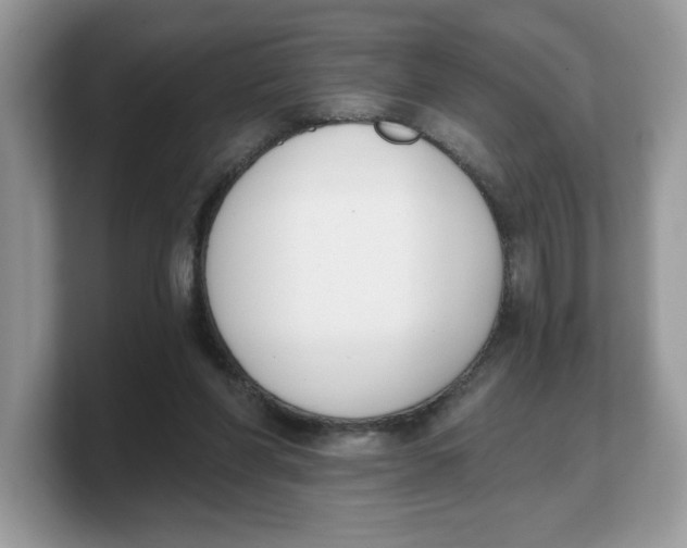 X0000103230206200809181530