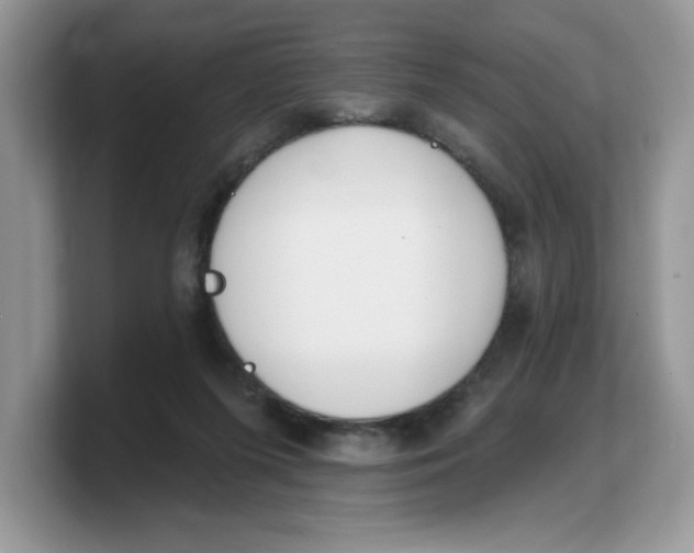 X0000103230215200809181530