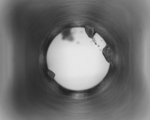 X0000103230220200809181530