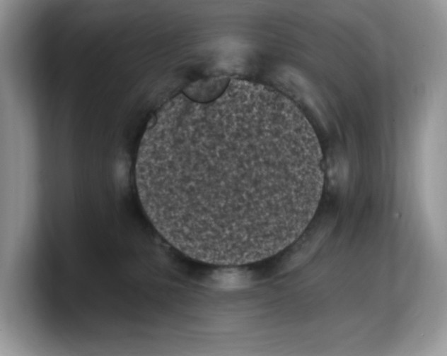 X0000103230231200809181530