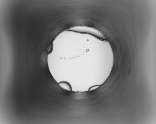 X0000103230240200809181530