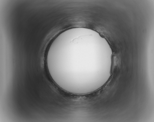 X0000103230243200809181529