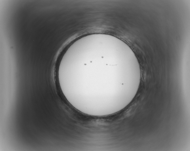 X0000103230244200809181529