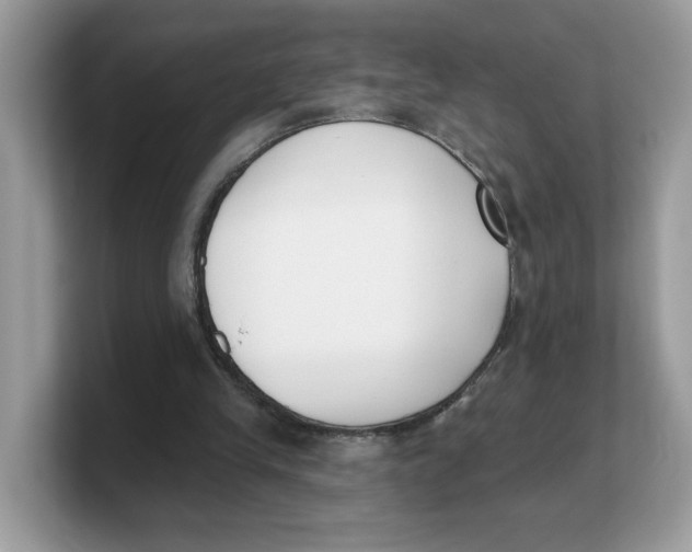 X0000103230245200809181529