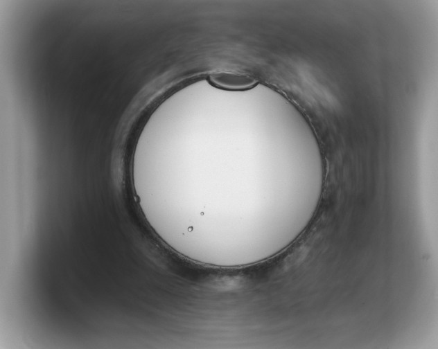 X0000103230247200809181529