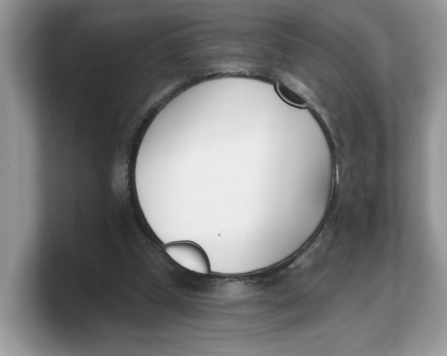 X0000103230249200809181529