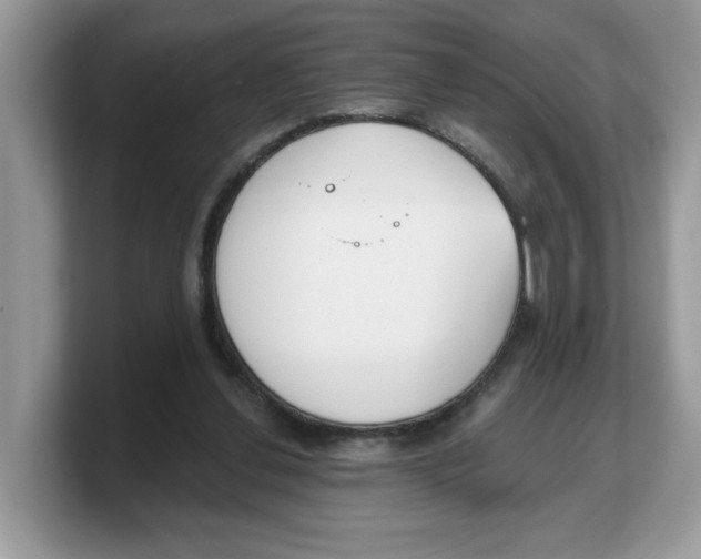 X0000103230252200809181529