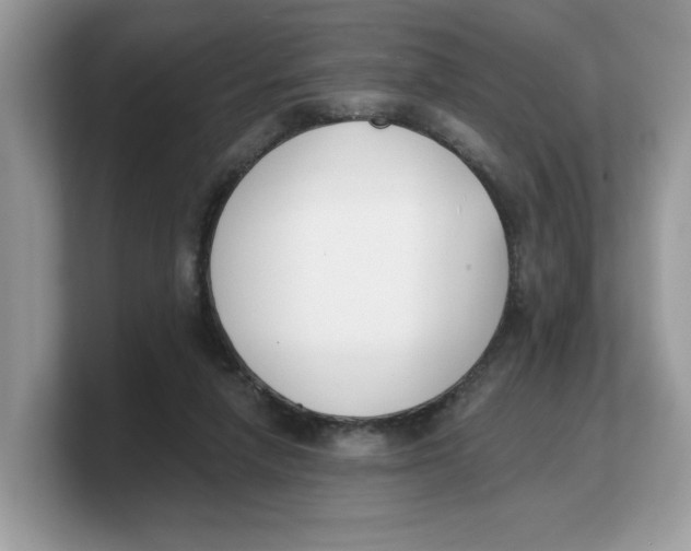 X0000103230258200809181530