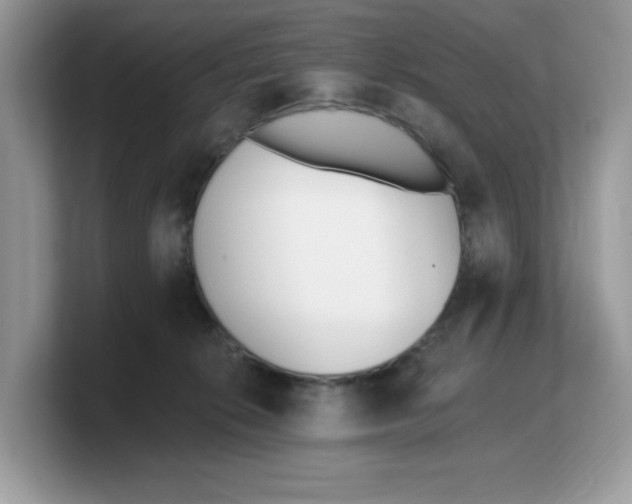 X0000103230276200809181530