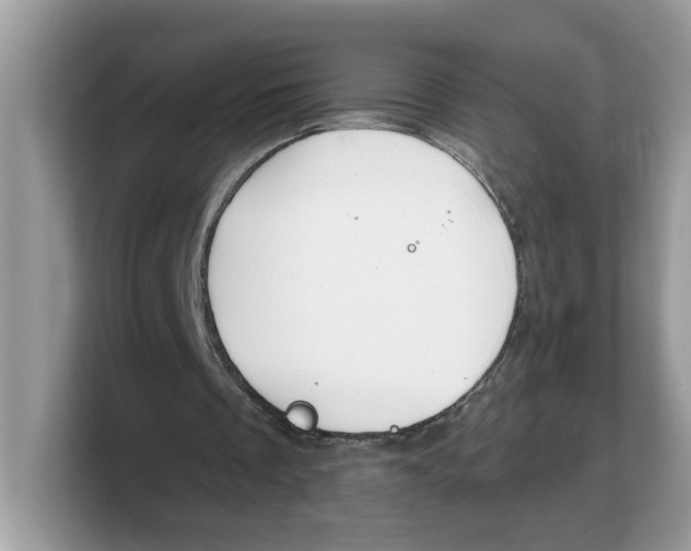 X0000103230289200809181529