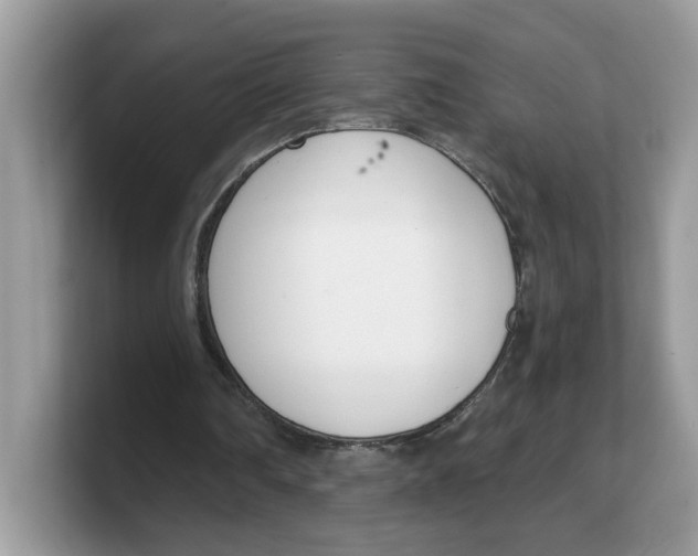 X0000103230290200809181529