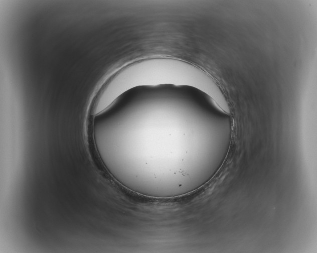 X0000103230292200809181529