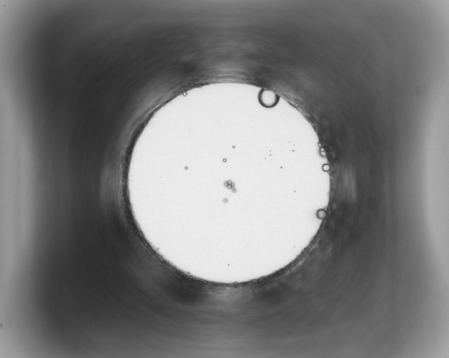 X0000103230293200809181529