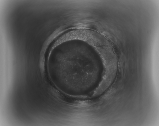 X0000103230295200809181529