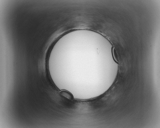 X0000103230296200809181529