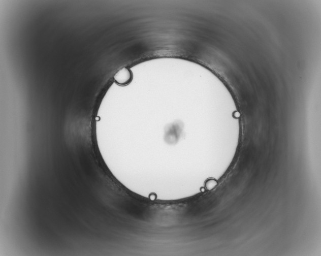 X0000103230297200809181529