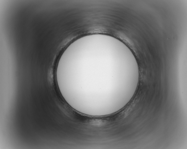 X0000103230298200809181529