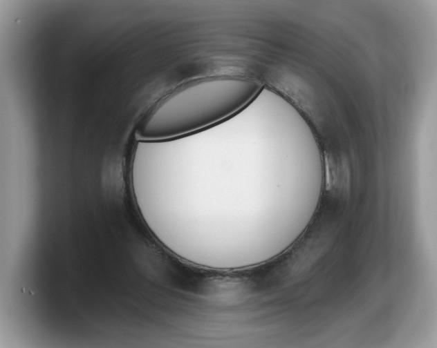 X0000103230300200809181529