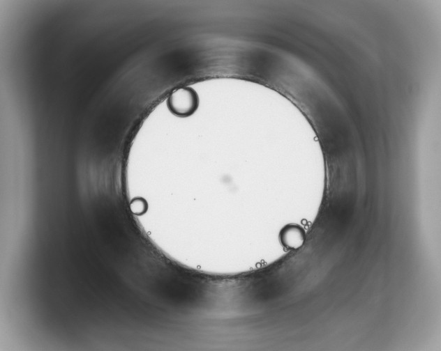 X0000103230301200809181529