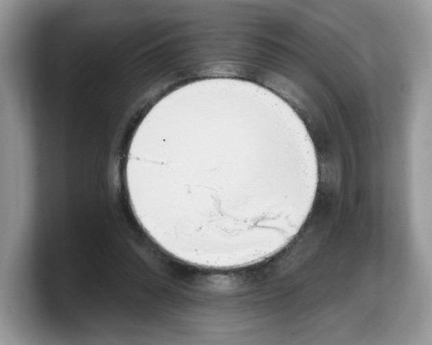 X0000103230302200809181529